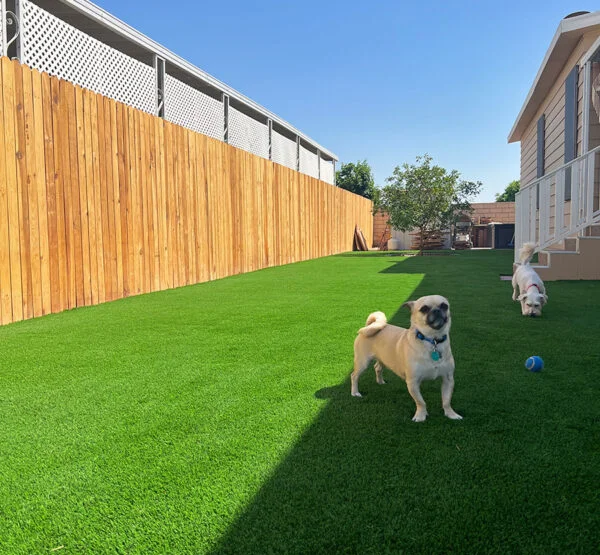 new best-choice-remodeling-exterior-remodel-san-diego-turf-600x600-1
