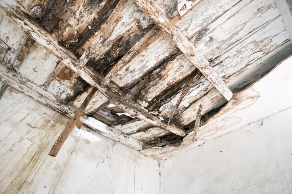 Exterior Home Renovation Services in San Diego