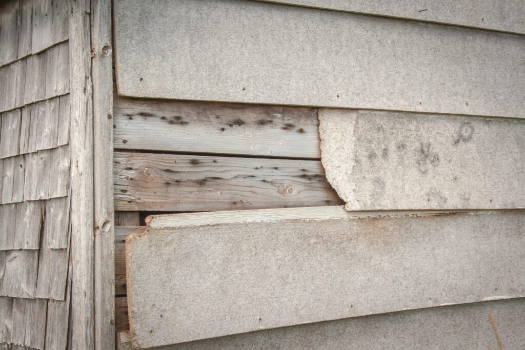 Exterior Home Renovation Services in San Diego