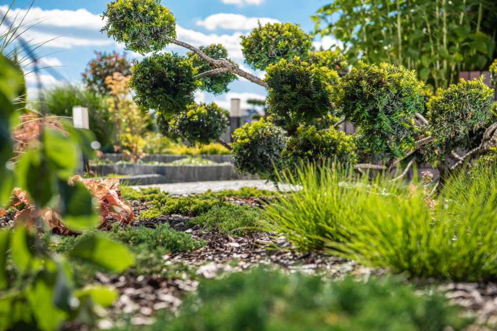 Exterior Home Renovation Services in San Diego