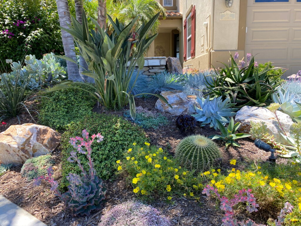 Exterior Home Renovation Services in San Diego