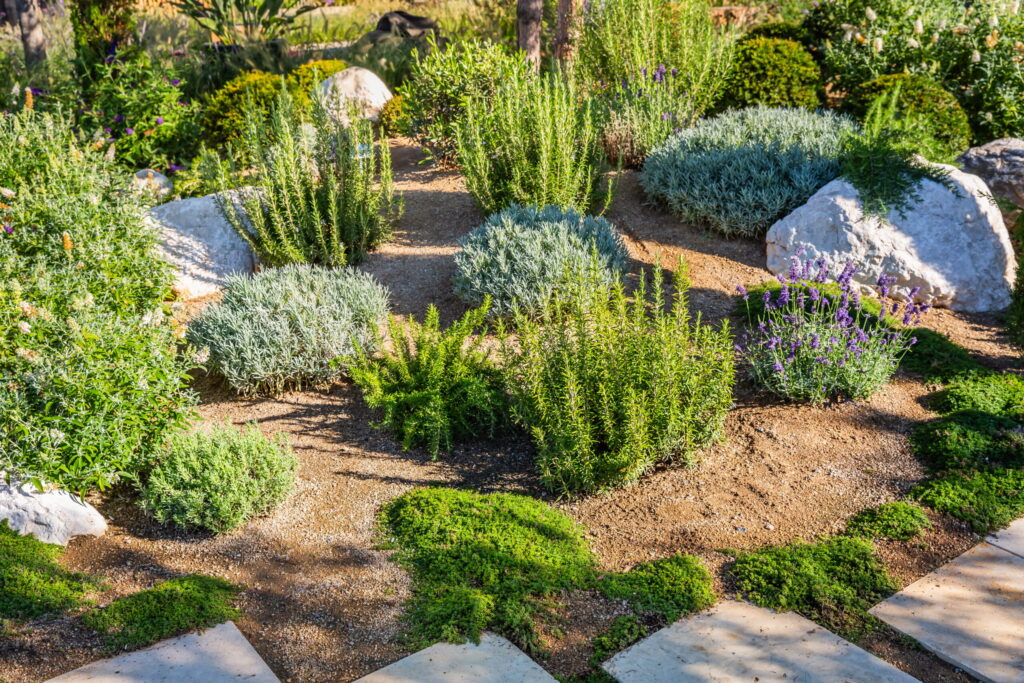 Custom Landscape Remodeling