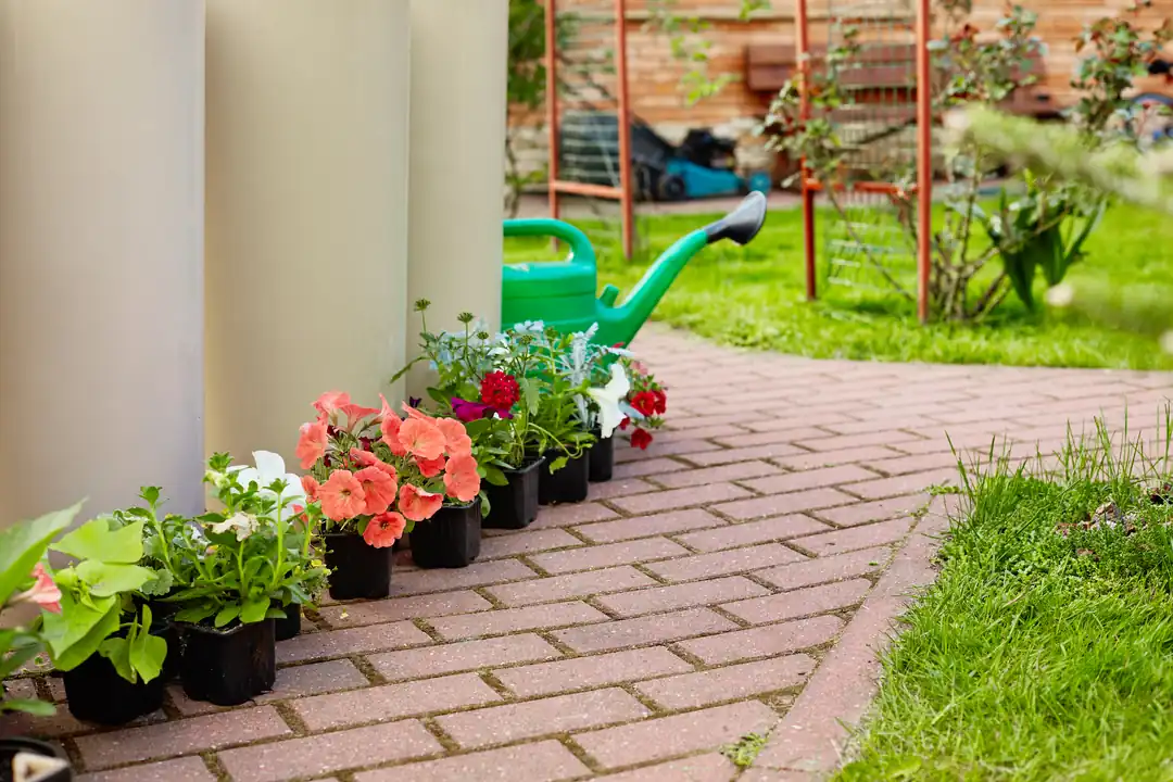 Exterior Home Renovation Services in San Diego