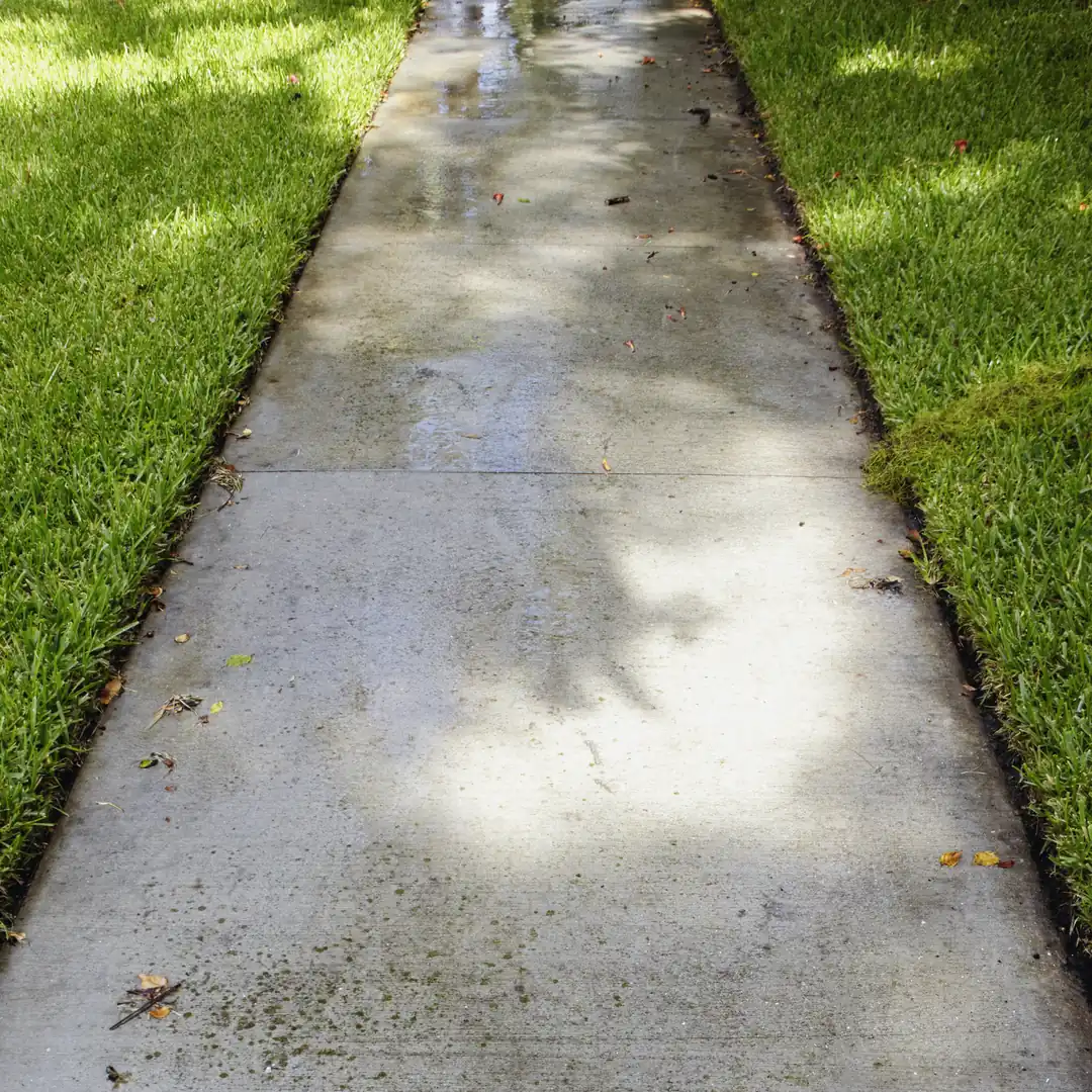 Exterior Home Renovation Services in San Diego