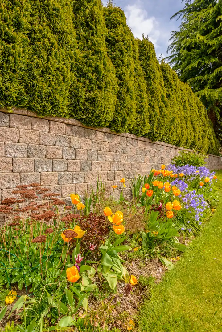 Exterior Home Renovation Services in San Diego