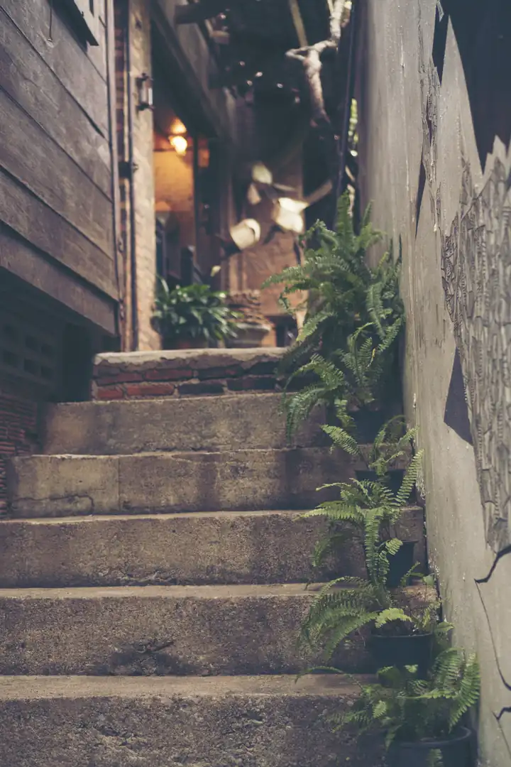 Exterior Home Renovation Services in San Diego
